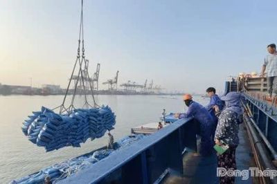 Xuất khẩu gạo giảm, doanh nghiệp tìm hướng đa dạng hóa thị trường