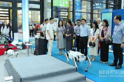 Tham quan các mô hình, dự án tại Quảng Tây, Trung Quốc