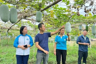 Kinh tế tập thể tạo động lực cho nông dân