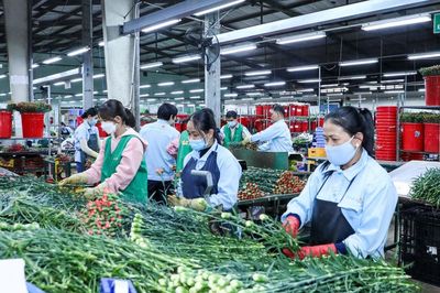 Hành trình làm chủ của nông dân Lâm Đồng Bài 3: Hướng đến chủ thể của giàu có, hiện đại, bản sắc bền vững