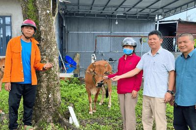 Hỗ trợ sinh kế phù hợp với nhu cầu người dân