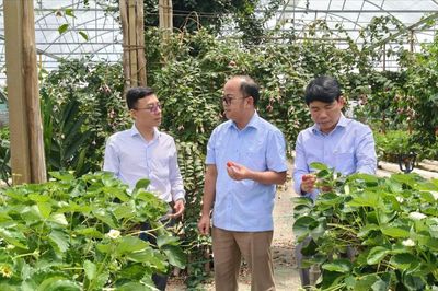 Đoàn giám sát, khảo sát của HĐND tỉnh Lâm Đồng làm việc tại xã Lạc Dương: Theo sát kiến nghị cử tri và đơn thư công dân