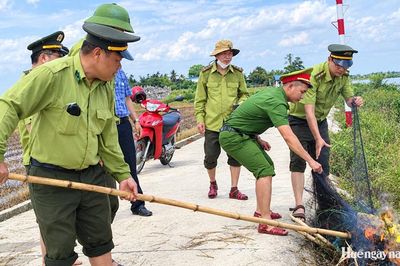 Hương Thủy tháo gỡ 900m lưới, 60 cọc tre giăng, bắt chim trời