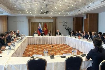 Thúc đẩy đột phá trong quan hệ hợp tác kinh tế, thương mại và đầu tư Việt Nam - Slovakia