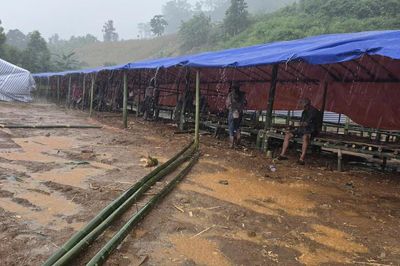 Lâm Đồng: 78 hộ dân di dời khẩn cấp do đồi sụt lún, sạt trượt