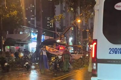Nhánh cây rơi trúng xe buýt, văng xuống đường khiến một người tử vong