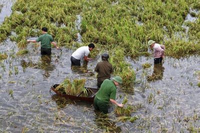 Dự báo thời tiết các khu vực trên cả nước ngày 18/9