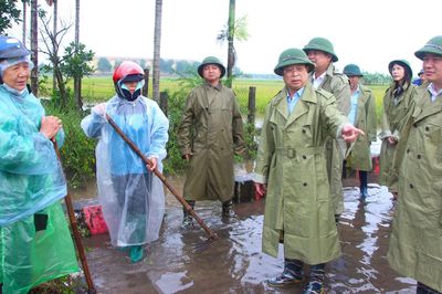 Hạn chế thấp nhất thiệt hại do mưa lũ