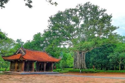 Tiếp biến giáo lý Phật giáo trong đời sống văn hóa dân gian Việt Nam