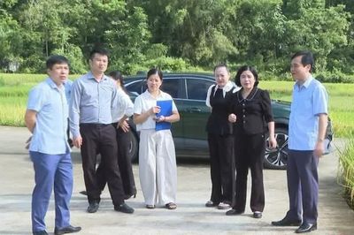 Giám sát thực hiện kế hoạch đầu tư công trung hạn tại Trùng Khánh