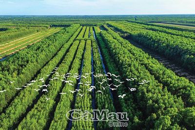 'Dấu vân tay sống' của một vùng đất