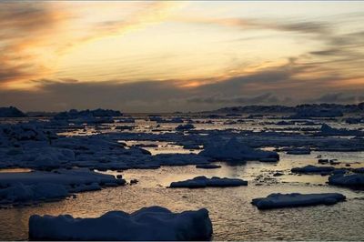 Trái Đất mất hơn 11.000 tỷ tấn băng ở Greenland và Nam Cực