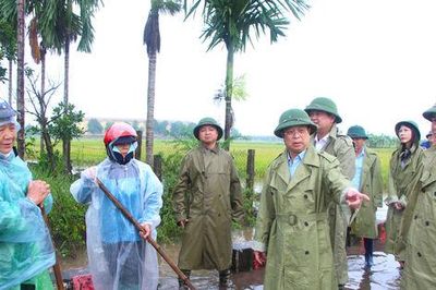 Chủ động hỗ trợ nông dân thu hoạch diện tích lúa bị ngập úng