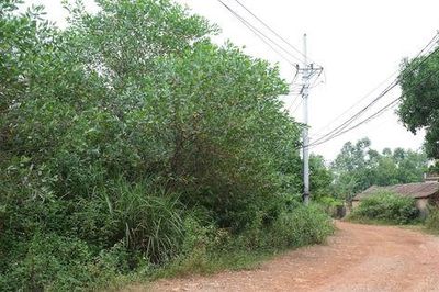 Xã Kim Anh gỡ vướng GPMB dự án của Sư đoàn 312
