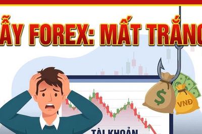 Cảnh giác thủ đoạn lừa đảo núp bóng đầu tư Forex