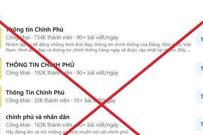 'Ma trận' nhóm 'Thông tin Chính phủ' trên Facebook
