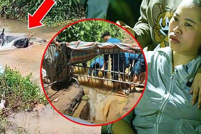 Nam sinh nghi mất tích khi đi qua đường ngập sâu, mẹ ngồi ngóng tin con