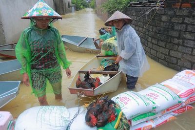 Làng quê ngoại thành Hà Nội ngập sâu, người dân bì bõm chuyển đồ