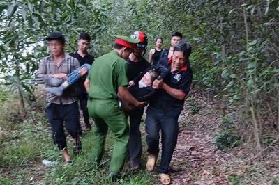 Người phụ nữ sốc phản vệ độ 3 vì bị đàn ong vò vẽ tấn công