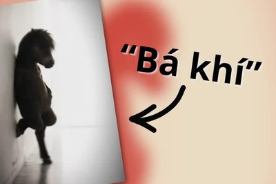 'Bá khí' là gì, có nguồn gốc từ đâu mà thành meme phủ sóng khắp mạng xã hội?