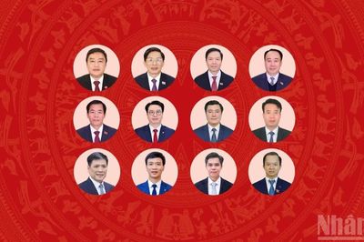 [Infographic] Các đồng chí vừa được Bộ Chính trị, Ban Bí thư điều động, phân công, chỉ định, bổ nhiệm