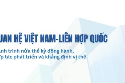 [Infographic] Hành trình nửa thế kỷ đồng hành, hợp tác phát triển và khẳng định vị thế