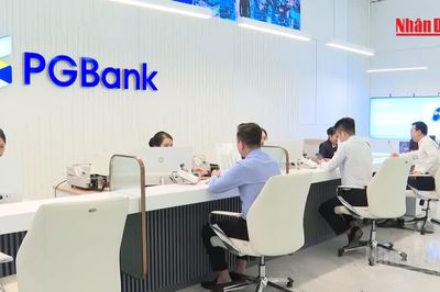 [Video] Chính phủ yêu cầu chấm dứt cho vay tập trung vào doanh nghiệp 'sân sau'