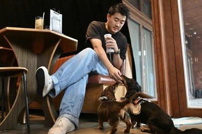 'Nền kinh tế độc thân' bùng nổ ở châu Á, quy mô vượt 1.000 tỷ USD