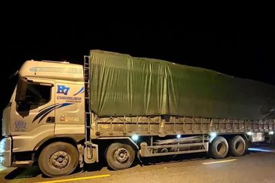 Phạt hơn 120 triệu đồng đối với tài xế, doanh nghiệp có xe tải chở hàng vượt 61%
