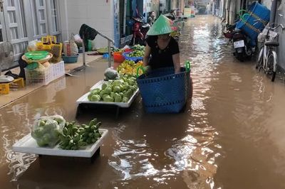 Vĩnh Long đối mặt với các đợt triều cường gây ngập sâu trong ba tháng cuối năm