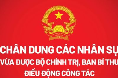 Chân dung các nhân sự vừa được Bộ Chính trị, Ban Bí thư điều động công tác