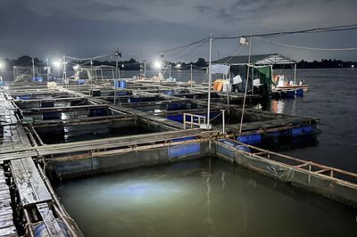 Cha nắm tay cứu con trai bị điện giật, cả hai rơi xuống sông mất tích