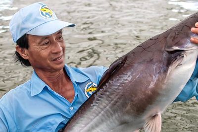 Một loài cá của Việt Nam được 'ông lớn' Nhật chú ý, vào chuỗi 550 nhà hàng sushi