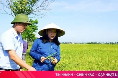 Tưới ngập - khô xen kẽ, giảm phát thải trên đồng ruộng Xuân Lộc