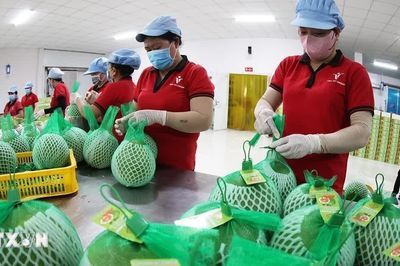Công nghệ bảo quản tăng sức cạnh tranh cho nông sản Việt