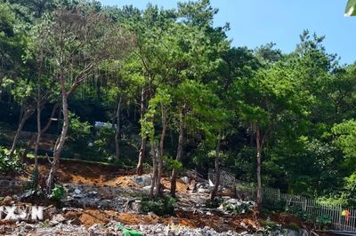 Hà Nội đã xử lý 5/6 vụ việc vi phạm đất rừng phòng hộ Sóc Sơn