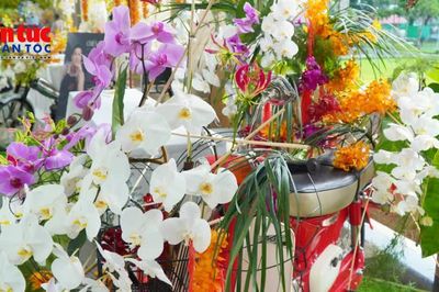 Hoa Việt tỏa sắc giữa không gian văn hóa và xe cổ