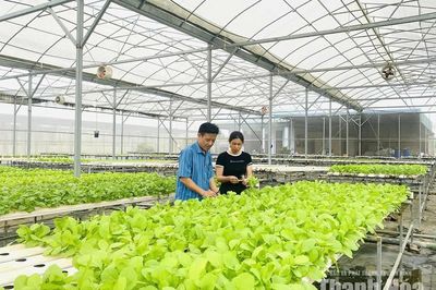Nghị quyết 20 tạo “luồng sinh khí mới" cho kinh tế tập thể
