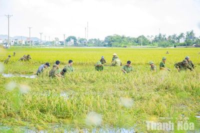 Bám trụ vùng lũ, chung tay đưa cuộc sống trở lại bình thường