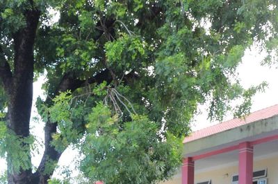 Đà Nẵng: Hơn 1.000 học sinh được hướng dẫn kỹ năng lái xe an toàn