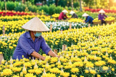 Đánh thức tiềm năng kinh tế nông nghiệp