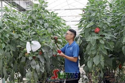 Nông nghiệp Sơn La: Thay đổi từ canh tác đến chế biến sâu