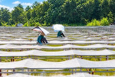 Phát triển làng nghề theo hướng xanh, bền vững
