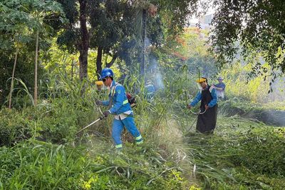 Làm sạch môi trường, đẹp cảnh quan hàng loạt khu dân cư ở Quảng Ngãi