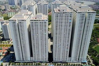 Hà Nội xử lý vi phạm tại 12 dự án Mường Thanh: Quyền lợi cư dân được giải quyết thế nào?