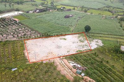 Đắk Lắk: Vì sao xã M'Drắk hủy quyết định chuyển mục đích hơn 4.000m² đất?