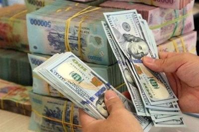 Thị trường tiền tệ tuần 14 - 18/9: Hút ròng mạnh hơn 62.500 tỷ đồng, tỷ giá USD vẫn đi lên khi Fed và BoJ tăng lãi suất