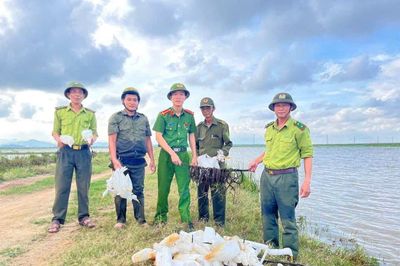 Quảng Trị: Nỗ lực trả lại sự bình yên cho "chim trời" ở Lệ Thủy