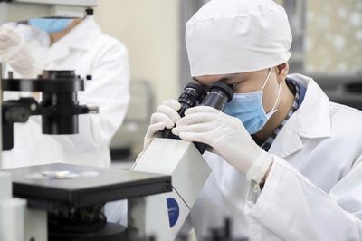 Sáu nhóm giải pháp phát triển nguồn nhân lực chất lượng cao: Từ chính sách đến sử dụng nhân tài