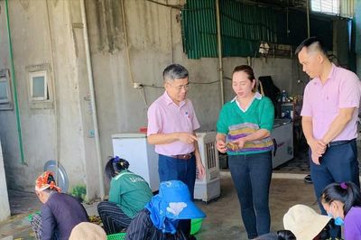Vùng đồng bằng Yên Thành đổi thay nhờ nguồn vốn tín dụng chính sách